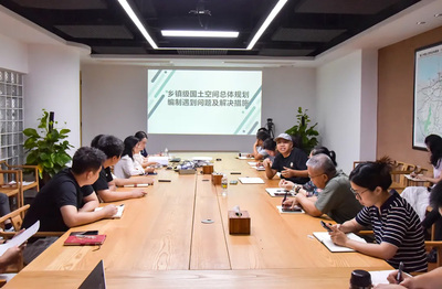 《乡镇级国土空间总体规划编制遇到问题及解决措施》专题技术研讨会圆满举行